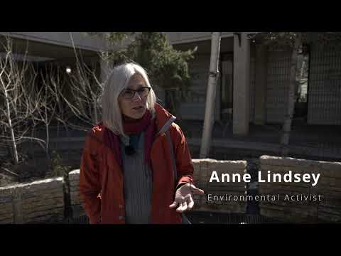 Anne Lindsay Environmental Activist